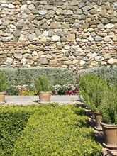Garden with several flower pots and plants next to a long old stone wall, Malaga, Spain, Europe