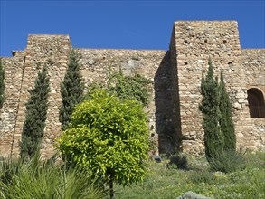 A historic wall with cypresses and trees in the open air, Malaga, Spain, Europe