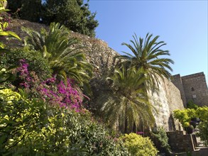 A sunny Mediterranean landscape with palm trees, flowers and an old stone wall under a blue sky,