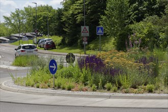 Flowering traffic island, flowering area, roundabout, road traffic, car, zebra crossing, housing