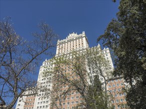 A large, historic building towers over a tree while the sky is clear and bluish, Madrid, Spain,