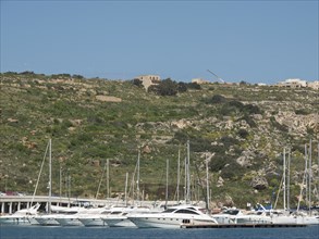 Marina with many sailing boats in front of a green hill with scattered buildings in the background,