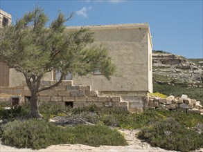 A house with a stone wall and a tree in a dry, hilly landscape, gozo, mediterranean sea, malta