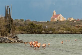 View at dusk over lagoon with flamingos to Sint Willibrordus church built between 1884 and 1888 in
