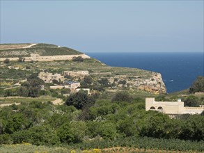 Green landscape on the coast with views of the sea and cliffs, Gozo, Mediterranean Sea, Malta,