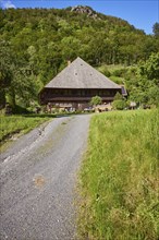 Typical Black Forest house with driveway in the historic district of Geschwend, Todtnau, Black