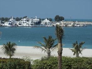 Luxury yachts in the harbour, surrounded by palm trees and the blue sea, abu dhabi, united arab