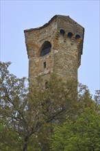 Historic Tour Pentagonale built in 1359, tower, pentagonal, Castellane, Provençal Alps, Western