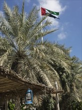 Palm tree and flag fluttering in the wind, lamp hanging under a roof of palm fronds, abu dhabi,