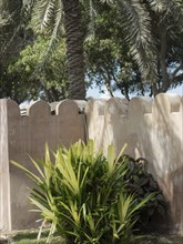 A tranquil garden scene with palm trees, a wall and various plants in the sunlight, abu dhabi,