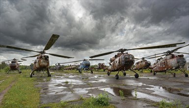 Several old, rusty helicopters are standing on an abandoned and overgrown area under an overcast