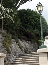 A steep stone staircase leads past densely overgrown plants and a green street lamp, monte carlo,