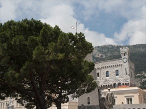 Parts of a castle with a clock tower and a large tree in the foreground, monte carlo, monaco,