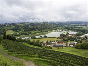 Foggy mood, thunderclouds over vineyard, Silberberg, Sulmsee, near Leibnitz, Styria, Austria,