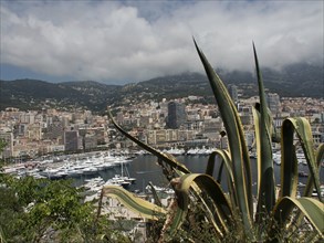 View of a harbour with a town and mountains in the background, surrounded by vegetation, monte