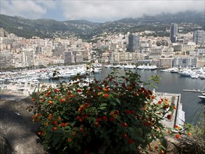 A harbour with numerous yachts and boats, surrounded by a city and blooming flowers, monte carlo,