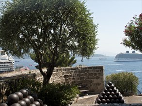 View of the sea with several ships, surrounded by trees and a natural stone wall, monte carlo,