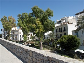 Sunny scene with trees and houses along a stone wall, ibiza, mediterranean sea, spain