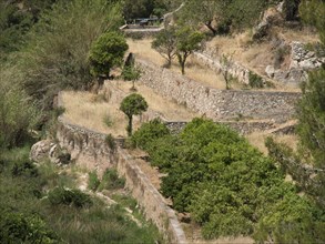 Several levels of agricultural terraces with trees and stone walls stretching up the slopes, ibiza,