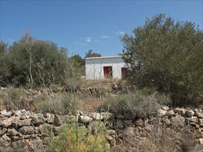A small house on a hill surrounded by vegetation and a stone wall in an arid landscape, ibiza,