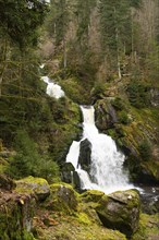 Triberg waterfall in the Black Forest, highest fall in Germany, Gutach river plunges over seven