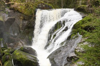 Triberg waterfall in the Black Forest, highest fall in Germany, Gutach river plunges over seven