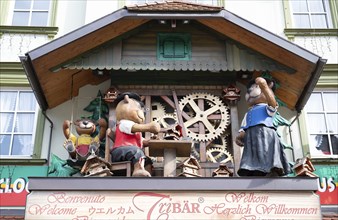 Cuckoo clock with bears at a shop in the Black Forest, Triberg in Germany, traditional craft,