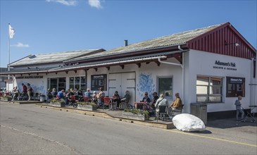 Fish restaurant in Gilleleje, Zealand, Denmark, Kattegatt, Scandinavia, Europe