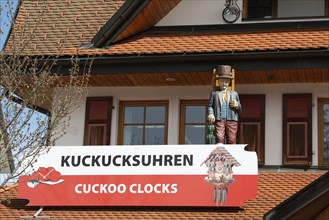 Cuckoo clocks in a shop in the Black Forest, Lake Titisee Neustadt in Germany, traditional craft,