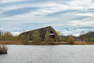 Biodiversity Haff Reimech, wetland and nature reserve in Luxembourg, pond surrounded by reed and