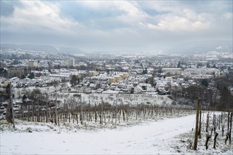 Vineyard with view of the ancient roman city of Trier covered in snow, Moselle Valley in Germany,