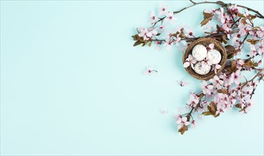 Colored easter eggs in a wicker nest, pink cherry blossom, holiday background, spring season