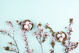 Colored easter eggs in a wicker nest, pink cherry blossom, holiday background, spring season