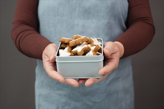 Cinnamon stars, Zimtsterne traditional german christmas cookies in a box, gingerbread with anise