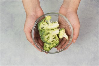 Holding fresh organic broccoli in the hand, prepare healthy food with vegetables, harvest and