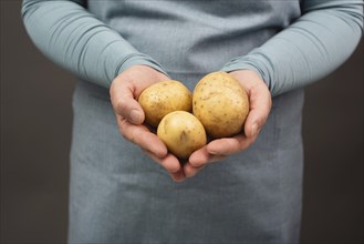 Holding fresh organic potatoes in the hand, prepare healthy food with vegetables, harvest and