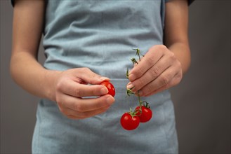 Holding tomatoes in the hands, prepare healthy food with vegetables, fresh organic nutrition for