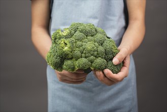Holding fresh organic broccoli in the hand, prepare healthy food with vegetables, harvest and