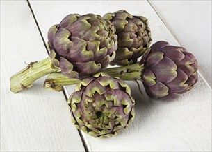 Four biological raw artichokes on white wooden table