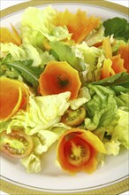 Fresh vegetables: carrot and lettuce, healthy eating and dietary