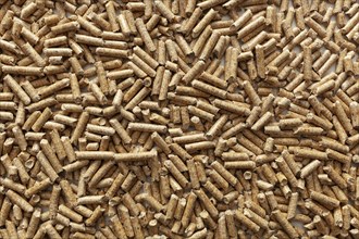 Background of wood pellets for stoves and boilers