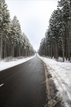 Road through a snow covered forest, slippery and frosty street in winter, empty highway in cold