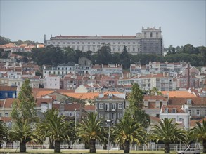 City view with many buildings, trees and palm trees on a hill in Portugal, Lisbon, portugal