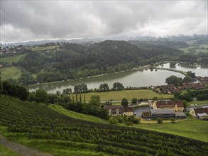 Foggy mood, thunderclouds over vineyard, Silberberg, Sulmsee, near Leibnitz, Styria, Austria,