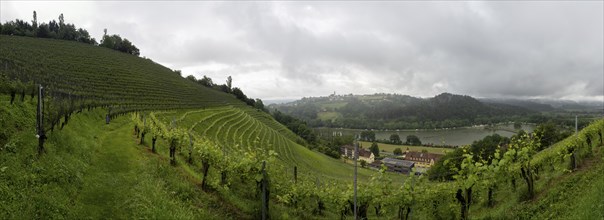 Thunderclouds over vineyard, Silberberg, Sulmsee, panoramic view, near Leibnitz, Styria, Austria,