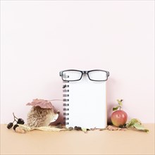 Empty notebook with eyeglasses, an apple and a hedgehog, autumn template with colorful leaves,
