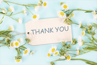 Thank you card surrounded by flowers, being thankful, support, help and charity concept, positive