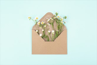Envelope with daisy flowers, greeting card for mother and grandmother, birthday in summer, gift