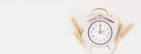 Alarm clock with wheat, end of daylight saving time in autumn, winter time changeover