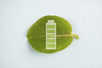 Green energy battery on a leaf, sustainable renewable electricity power, csr concept, environment